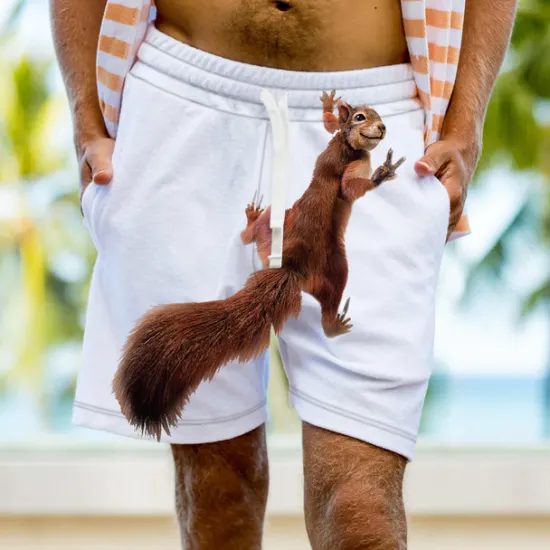 Clearance OUKU Men's Graphic Animal Squirrel Sweat Shorts Beach Shorts Terry Shorts Mid Waist Sports Designer Classic Style Casual Daily Holiday Drawstring Elastic Waist 3D Print Designer Clothing Apparel